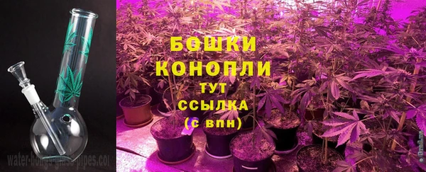 индика Магас