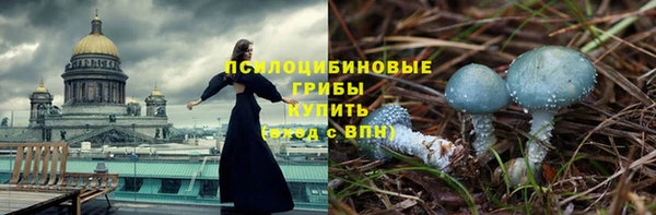 таблы Арсеньев