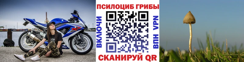хочу   Певек  Псилоцибиновые грибы GOLDEN TEACHER 
